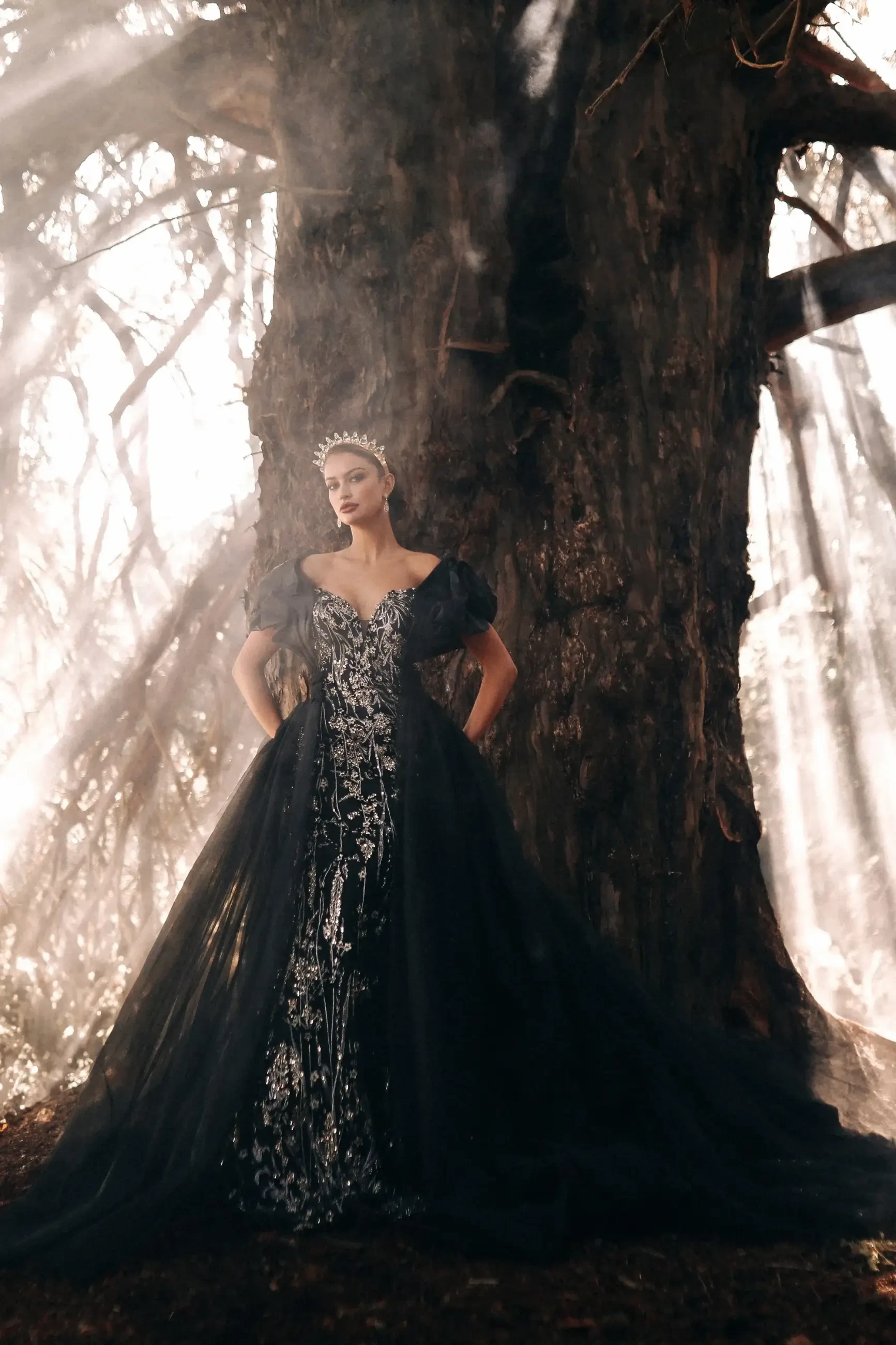 Unveiling Disney Princess Wedding Gowns... with a Villainous Twist! Image