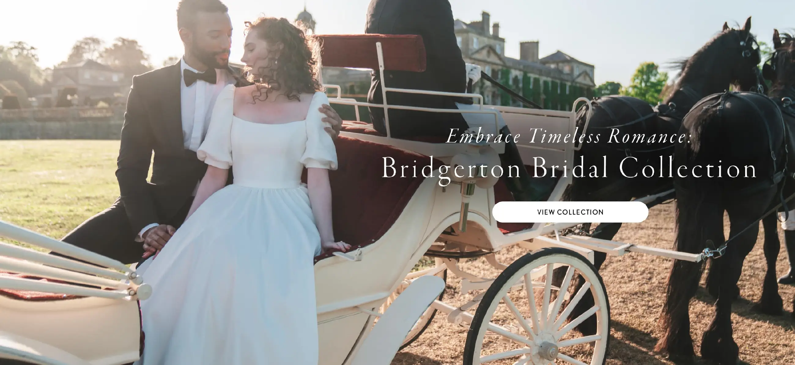 Bridgerton Desktop Banner