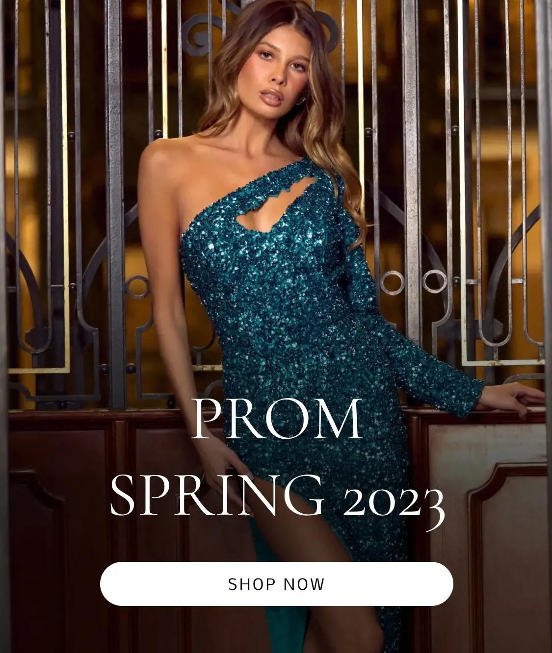 Model Wearing Sherri Hill Prom Dress
