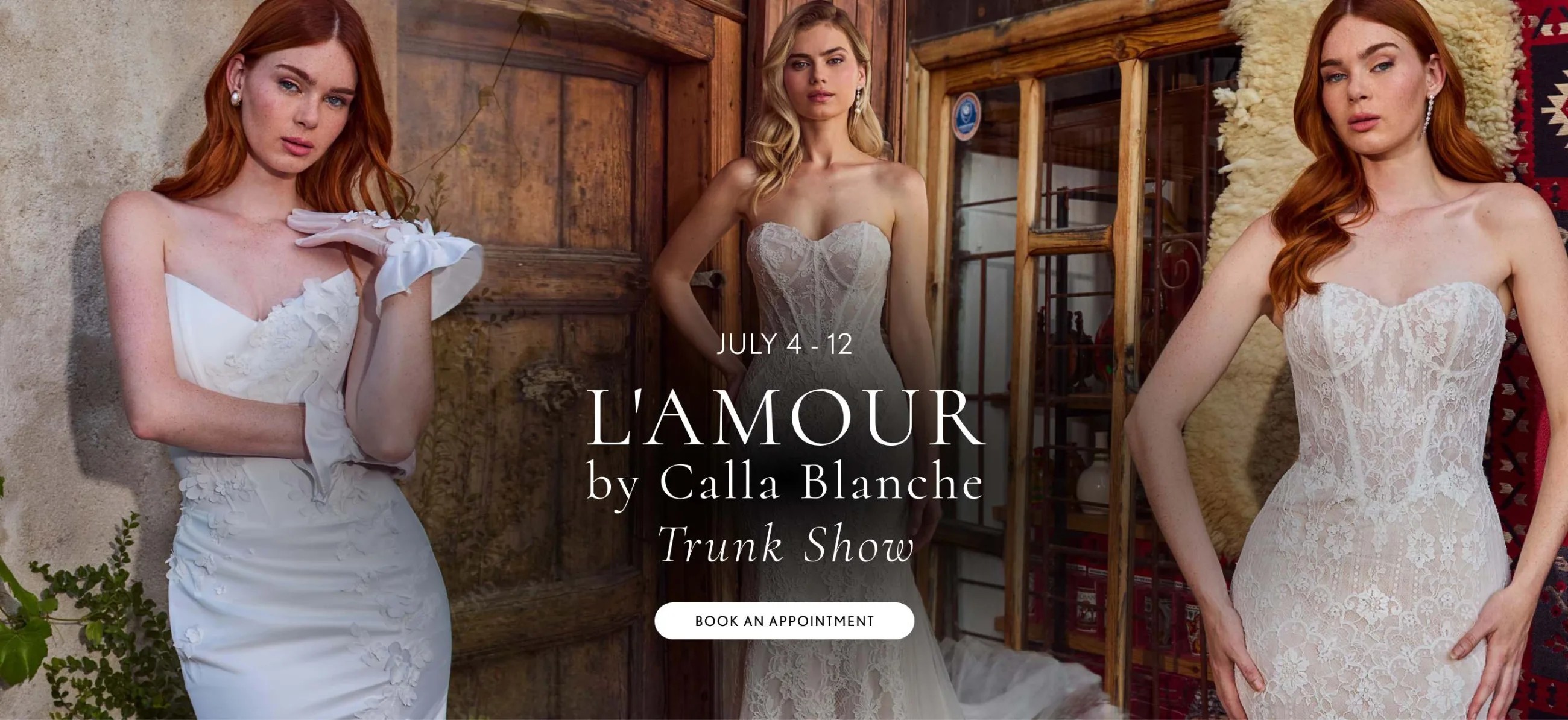 Models wearing L'Amour by calla blanche gowns, trunk show desktop banner